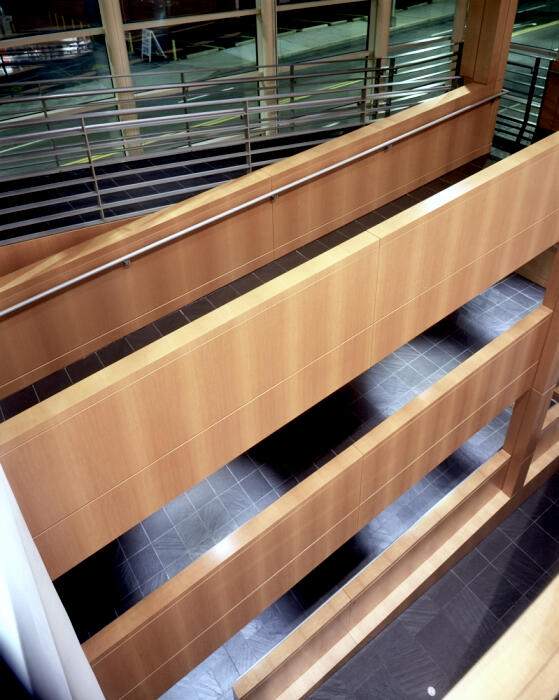 High Muesum Anegre Fiddleback 4.jpeg